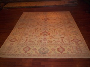 Ziegler 5